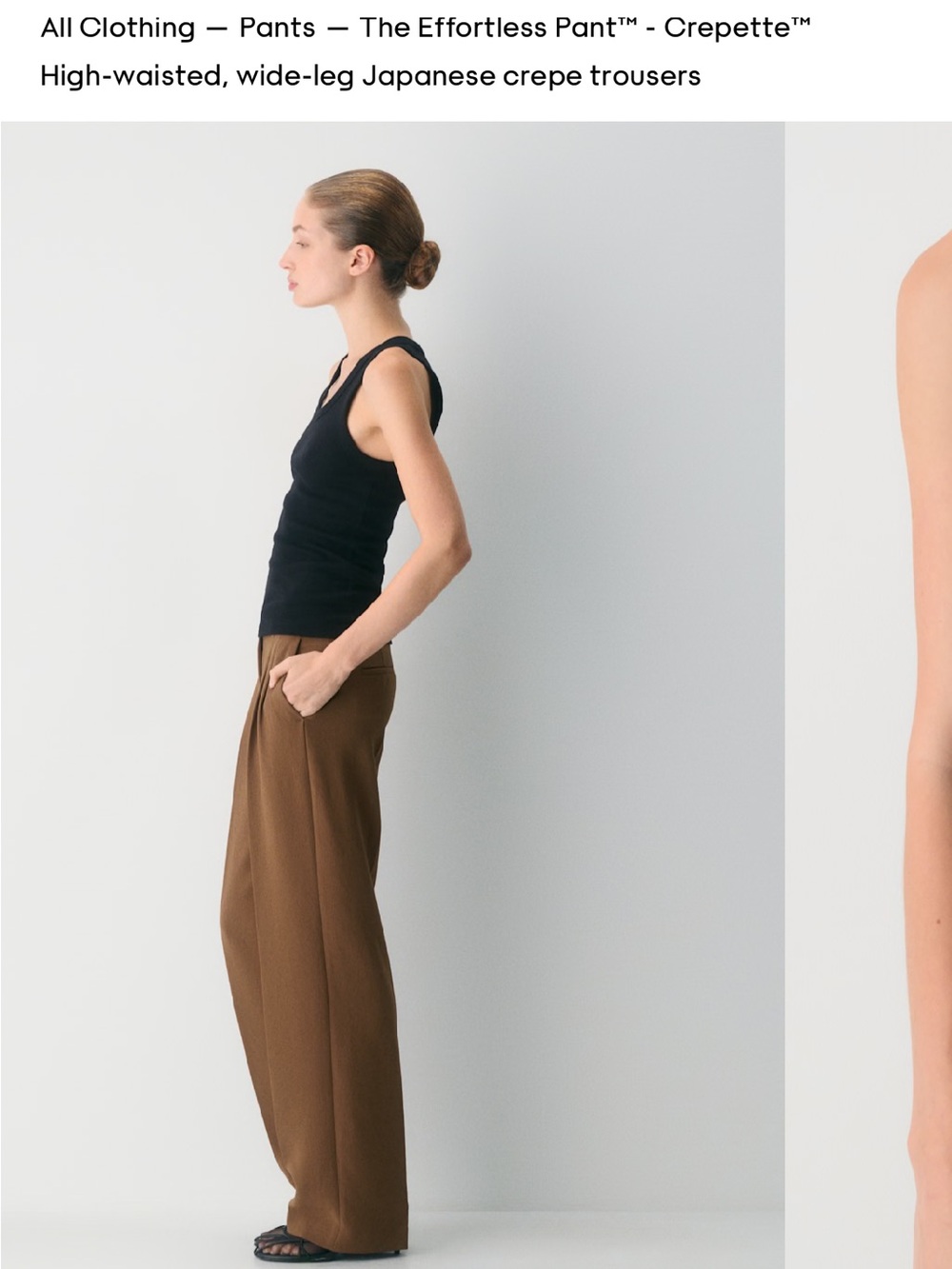 NWT, ARITZIA, The Effortless Pant™ High-Waisted Wide-Leg Pants — Brown, size 4 - Picture 2 of 11